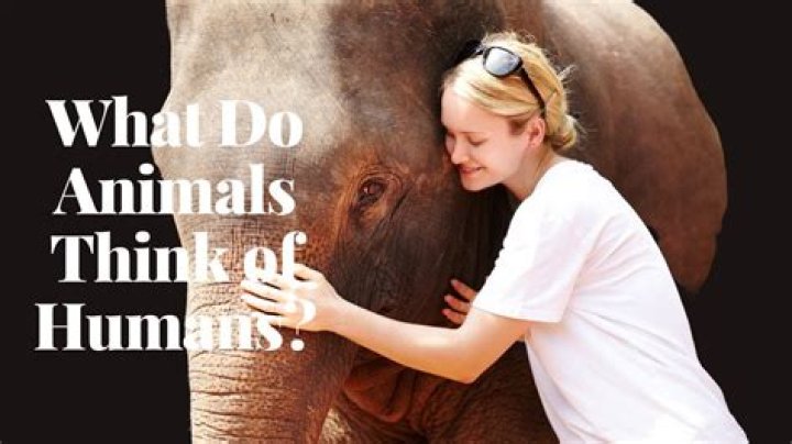 10 Hilarious Animals Who Think They Are Humans