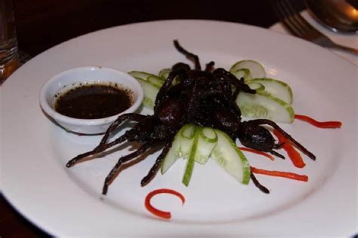 20 Strange Foods From Around The Globe