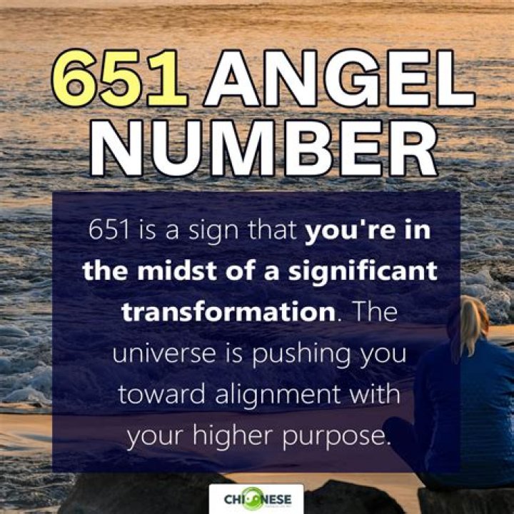 
ANGEL NUMBER 651
