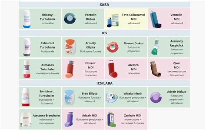 Fmoviesto.cc Down: What Happened and What Are the Alternatives?