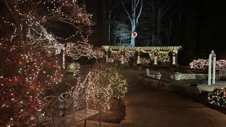 Live Christmas Tree Locations in Lynchburg and Central Virginia 2023