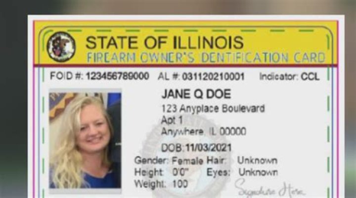 New Illinois bill to require FOID card owners to reapply at 21