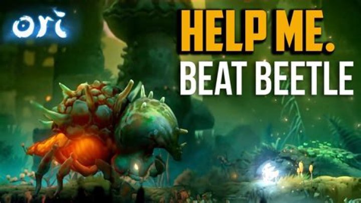 Ori and the Will of the Wisps – How to Beat the Beetle