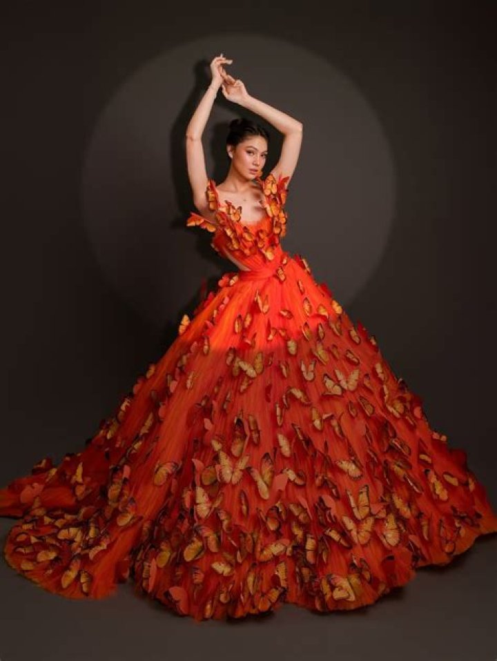 She The Star's Versace Butterfly Gown